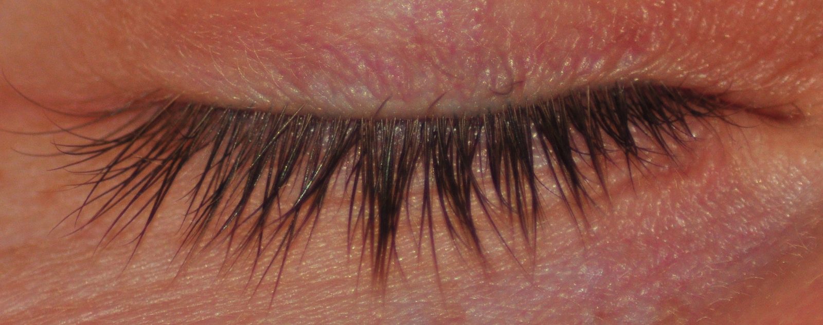 An extreme macro photograph of a closed human eyelid and eyelashes
