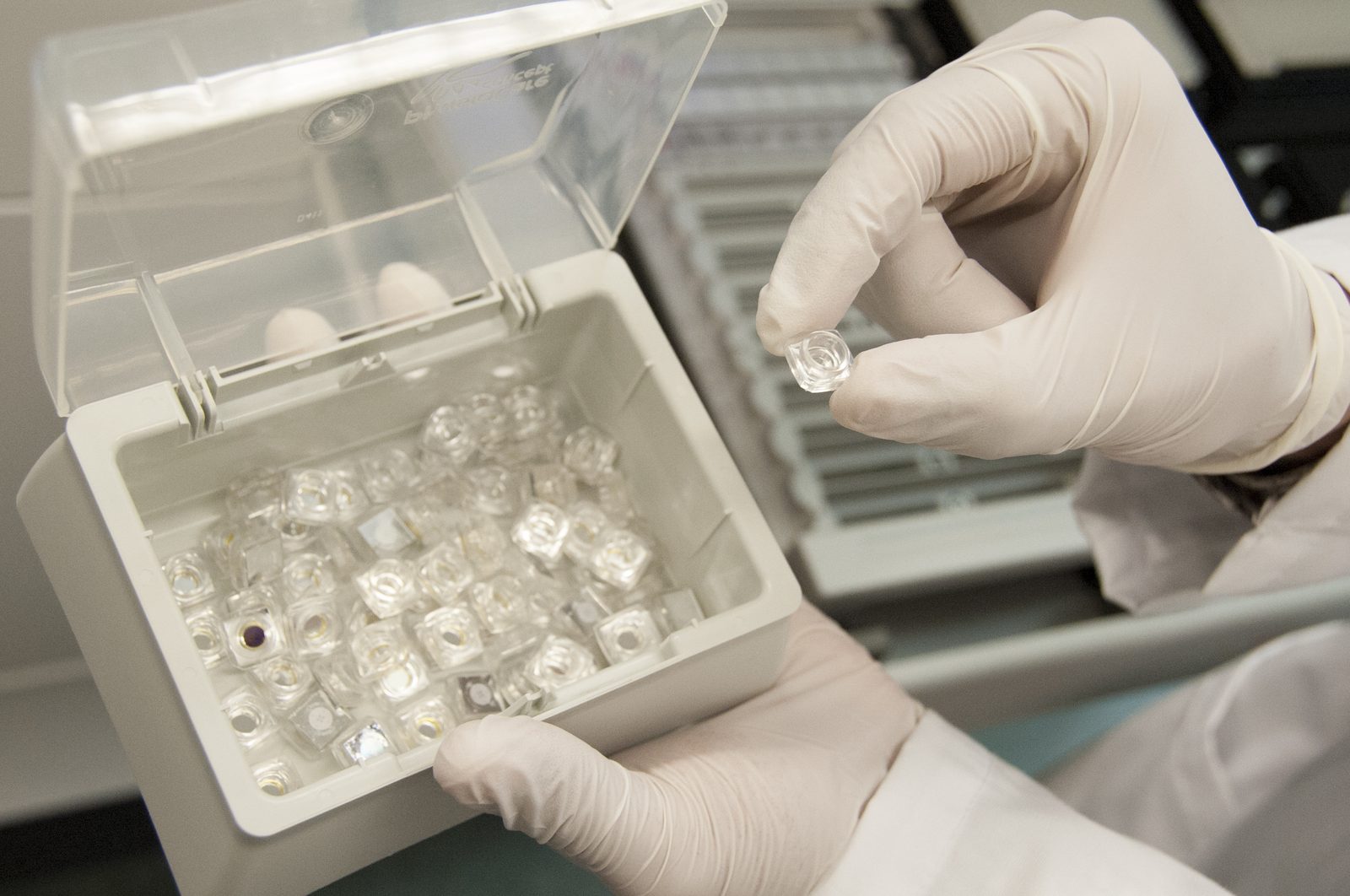 A gloved researcher holds a small vial of bacterial DNA sample up from a rack of many similar sample vials in a genomics laboratory