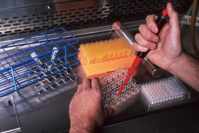 A researcher's hands hold a pipette and load small samples into rows of clear multiwell plates and tubes on a stainless steel lab bench