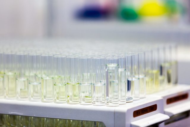 Rows of small glass sample vials filled with pale liquid, lined up on a laboratory tray ready for analysis