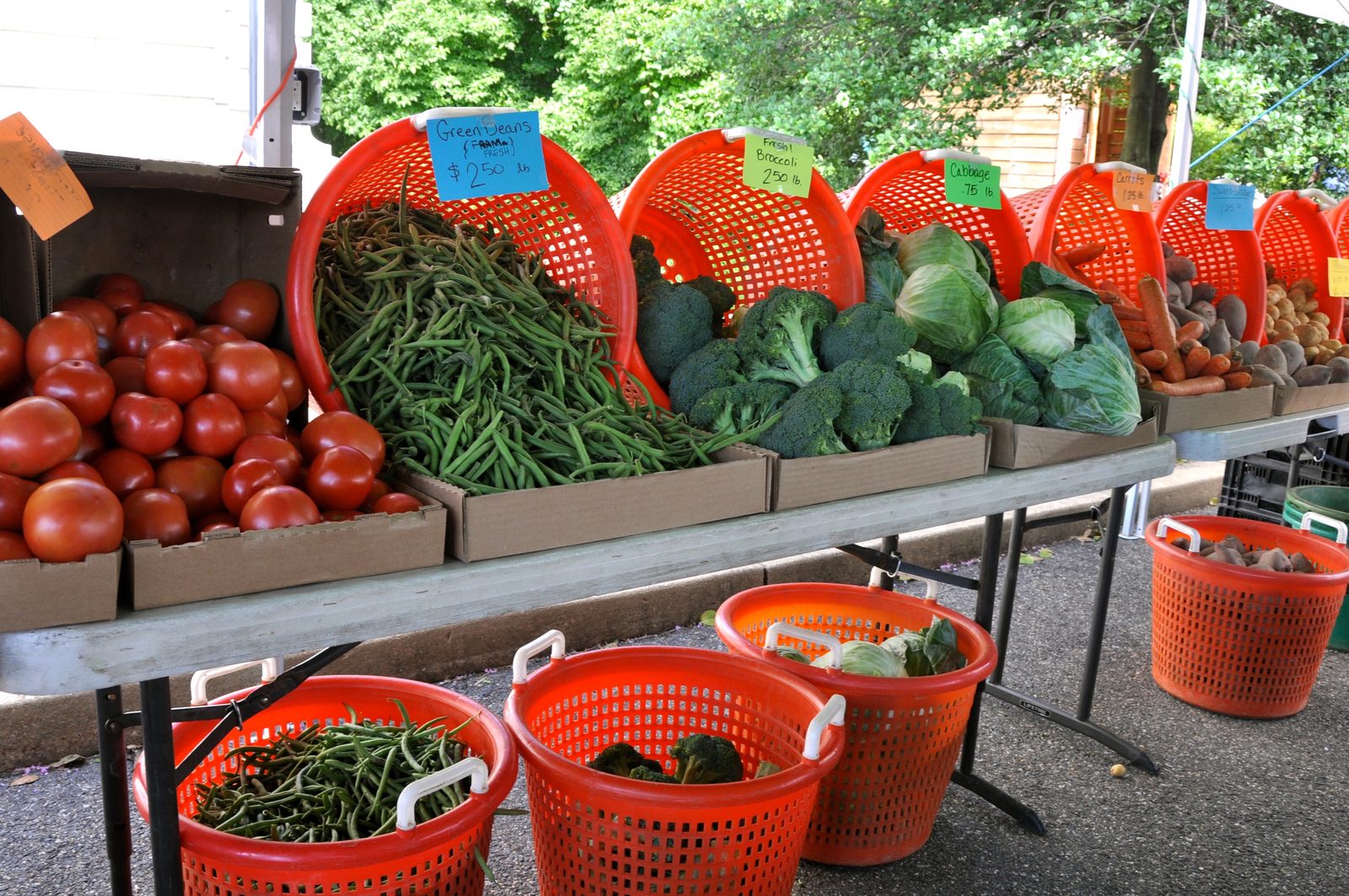 Orange baskets of green beans, broccoli, cabbage and tomatoes on a farmers market table, with trees behind
